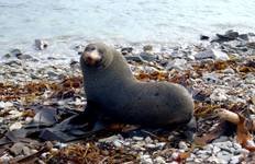 Circuit Aventure sur la côte ouest de la Nouvelle-Zélande (8 destinations)