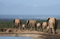 South Africa Highlights Tour