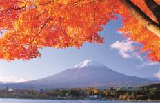 Japan Highlights Tour