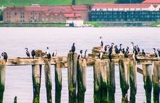 Antarctica & Patagonia Expedition (Southbound) Tour