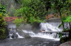 Circuit Observation des oiseaux au Costa Rica (sur demande)
