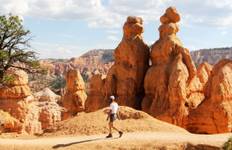 Mighty Five Adventure (from Grand Junction to Zion National Park) Tour