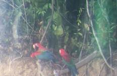 Circuit Traversée des Andes et de l'Amazonie