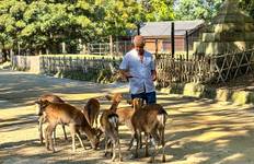 8 Days Japan Premium Mini Group Tour with 3/4 Stars Hotels (Max 6 People) Tour