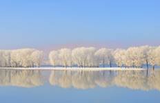 Marchés de Noël du Danube 2027 circuit