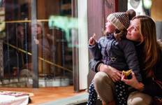 Le Rhin à l'heure des villes en hiver 2027 circuit