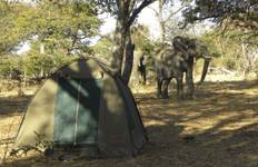 Stalking in the Savannah and in a Dugout Canoe through the Delta Tour