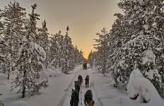 Rondreis Winterdroom met husky's – klassiek