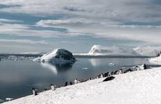 Antarctique, Géorgie du Sud et îles Falkland (départ de Buenos Aires, fin à Buenos Aires, 2024-2025) circuit