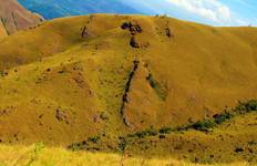 "True Adventure" Wildlife / Hiking / Rainforest  [13 Days Comfort] Tour