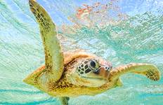 Circuit Comores : Expédition de la faune et de la flore