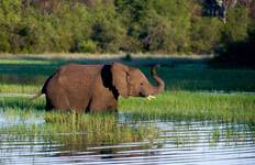 30 days Kenya Tanzania and Zanzibar Insight Holiday Tour