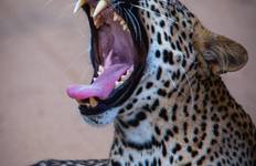 Circuit La route du paradis [été] 15 jours