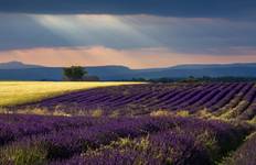 Best of Provence Plus! the Luberon and Aix-en-Provence Tour