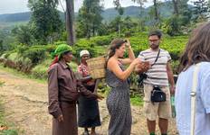 Circuit Explorer les trésors culturels et les merveilles naturelles en 5 jours