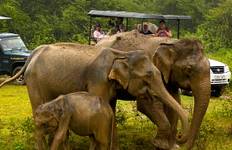 Circuit Le Sri Lanka en toute sérénité : Un voyage magique de 5 jours