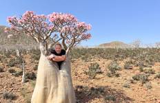 Circuit Socotra - île de la fin des temps