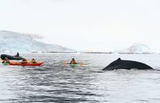 The Ultimate Antarctica Experience - The Peninsula In Depth Tour