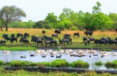 Liuwa National Park - Africa's Untouched Wilderness Tour