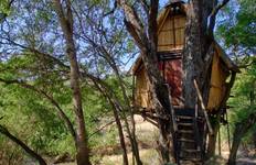 Rondreis Safari in het Krugerpark – in lodge & boomhut