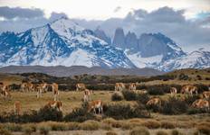 Patagonia: Edge of the World featuring Argentina, Chile, and a 4-Night Patagonia Cruise (2024) Tour