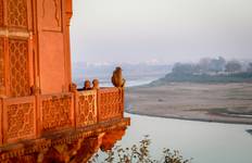 Circuit Taj Express - 8 jours