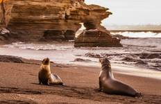 Nature and Wildlife Expedition Cruise (Northern Route) (2024) Tour