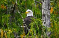 Circuit Nature sauvage, glaciers et culture - Northbound