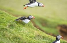 Circuit Voyage dans les îles de l\'Atlantique Nord | Îles britanniques, Îles Féroé et Islande : Vers le nord