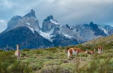 Circuit Expédition approfondie en Patagonie et dans les fjords chiliens (2024) (from Palerme to Chios)