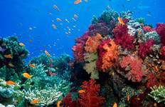 In Darwin’s Footsteps (MS Santa Cruz II, 9 Days, 2024) Tour