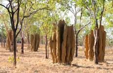 Best of Northern Territory Tour