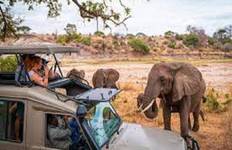 Circuit Le meilleur safari de 14 jours au Kenya et en Tanzanie 2025-2026 : Safari africain tout compris avec faune, culture et aventure.