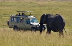Tanzania Luxury Wildlife Safari & Zanzibar Beach Holiday-8 Days Tour