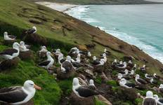 Circuit Expédition Antarctique et Falkland (2025)