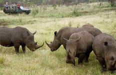 Exklusive 16-tägige Kenia & Tansania Safari | Great Migration Wildlife Abenteuer Reise