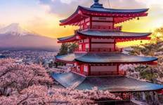 9 Day Independent Japan Tour