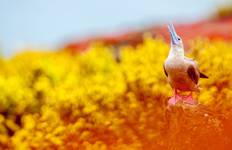 Rondreis De "Grote Vijf" van Zuid-Amerika