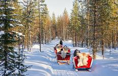Northern Lights and Lapland with Magnificent Europe Helsinki → Amsterdam (2025) Tour