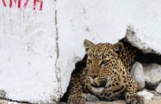 Circuit Safari camping de 7 jours dans le nord de la Namibie et sur la côte des Squelettes * DÉPART LE SAMEDI