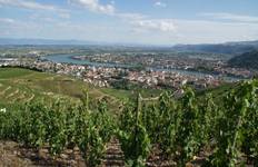 France, Uncorked: The Rhone, The Seine & Bordeaux 2025 Tour