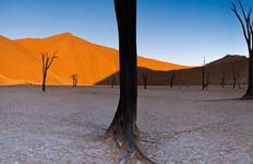Circuit Les points forts de la Namibie