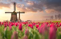 Tulip Serenade - AMADEUS Imperial (Amsterdam - Amsterdam) Tour