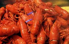 Canadian Maritimes and Coastal Wonders featuring the Cabot Trail (2026) Tour