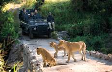 Kapstadt, Kruger und Viktoriafälle Reise