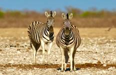 6 days Sossusvlei, Swakopmund and Etosha NP Camping Tour