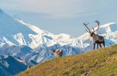 Rockies with Alaska by Sea and Land Victoria → Fairbanks (2025) Tour