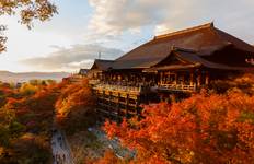 11 Days Enchanting Japan Maple Viewing Tour (private guide & driver） Tour