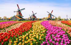 Springtime in Holland (port-to-port cruise) - DOUCE FRANCE Tour