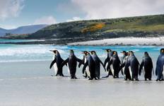 Highlights of South America and Chilean Fjords Cruise Rio de Janeiro → Lima (2026) Tour